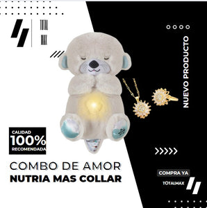 COMBO NUTRIA + COLLAR
