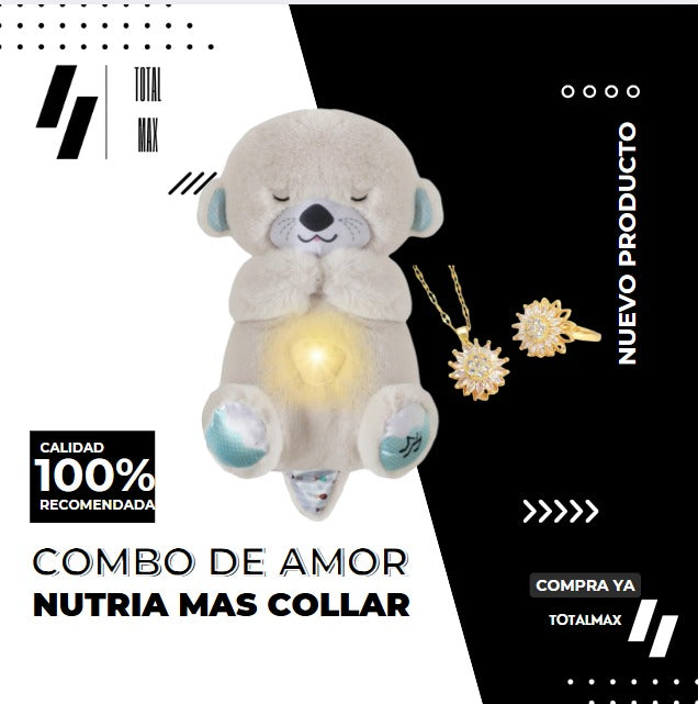 COMBO NUTRIA + COLLAR